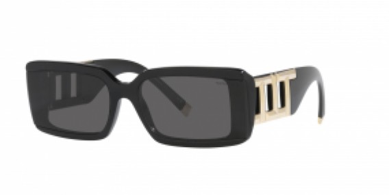Tiffany&Co. TF4197 8001S4