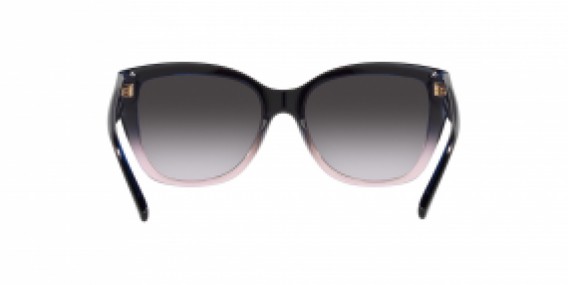 Emporio Armani EA 4198 59918G