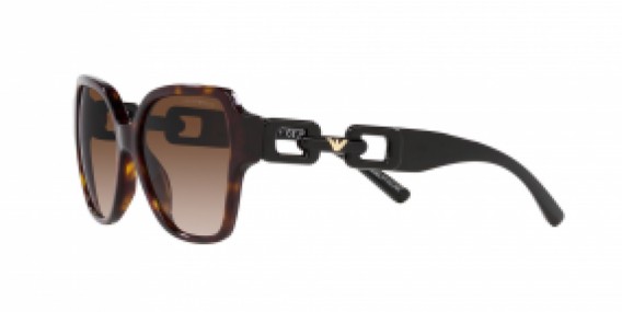 Emporio Armani EA4202 502613