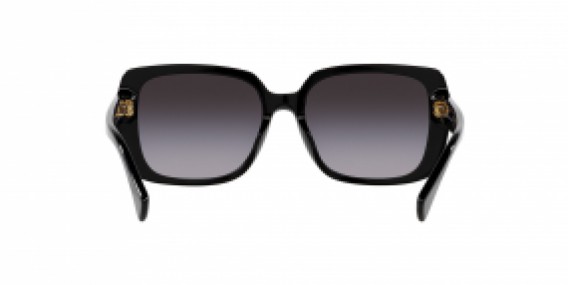 Ralph Lauren RA 5298U 50018G