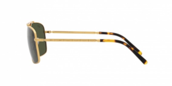 Ray-Ban RB3796 919631