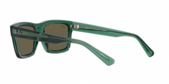 Ray-Ban RB4396 6681/3