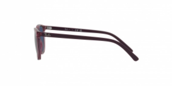 Ray-Ban RJ9097S 711280