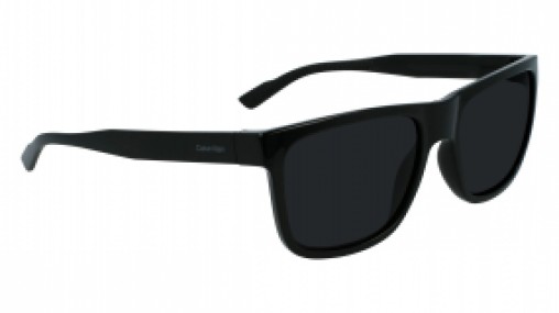 Calvin Klein CK21531S 001