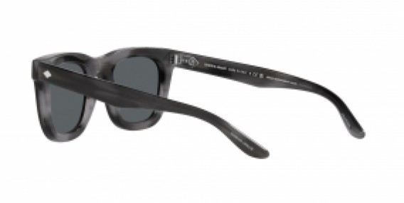 Giorgio Armani AR8171 5964P2