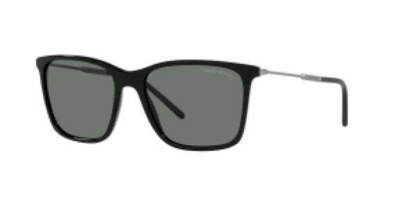 Giorgio Armani AR8176 501787