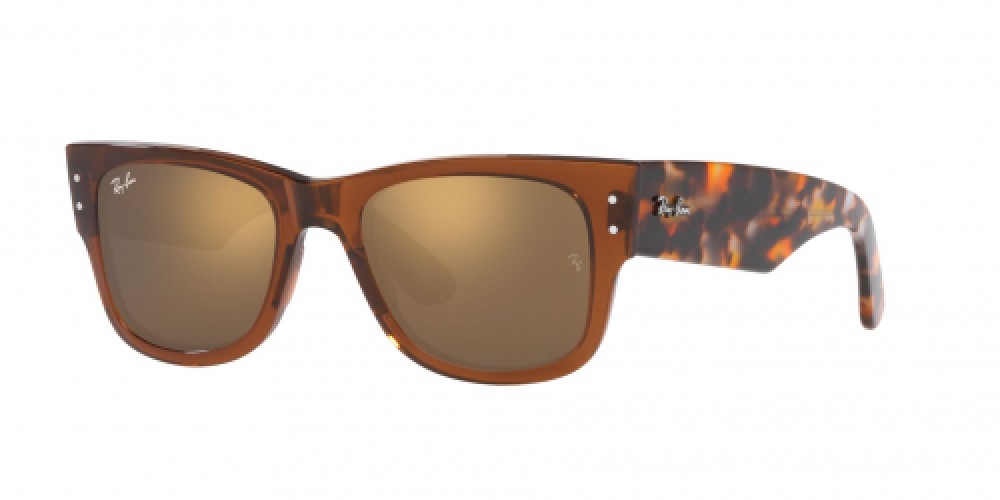 Ray-Ban RB0840S 663693