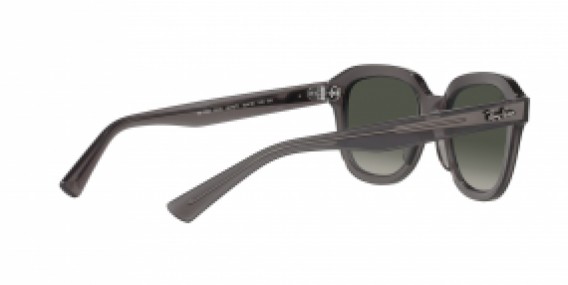 Ray-Ban RB4398 667571