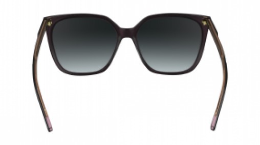 Calvin Klein CK24509S 012