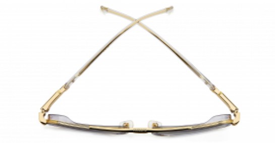 Carrera CA1069/S REJ FQ