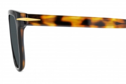 David Beckham DB7111/S WR7 MT