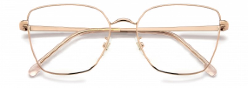 Carrera CA3022 DDB