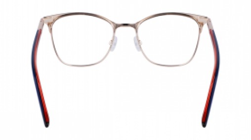 Calvin Klein CK21124 438