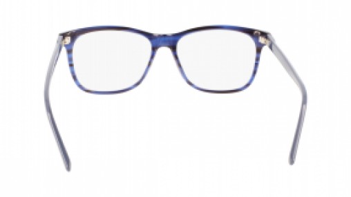 Calvin Klein CK22507 420