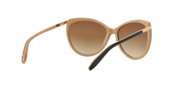Ralph Lauren RA 5150 109013