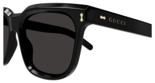 Gucci GG1523S 001