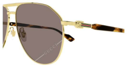 Gucci GG1220S 005