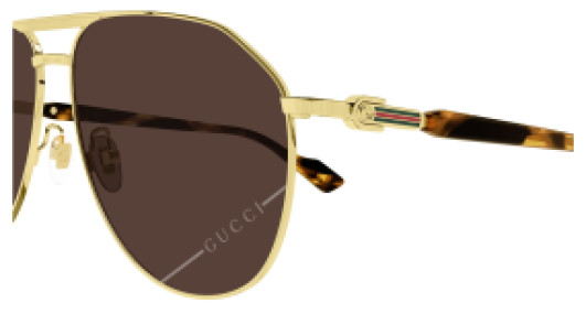 Gucci GG1220S 005
