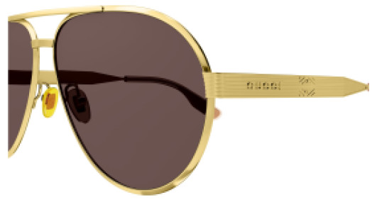 Gucci GG1513S 002