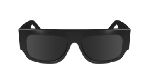 Victoria Beckham VB666S 001