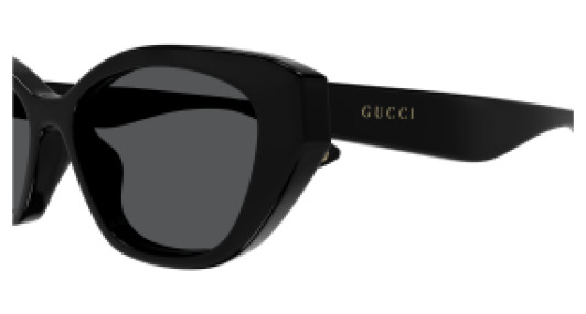 Gucci GG1638S 001