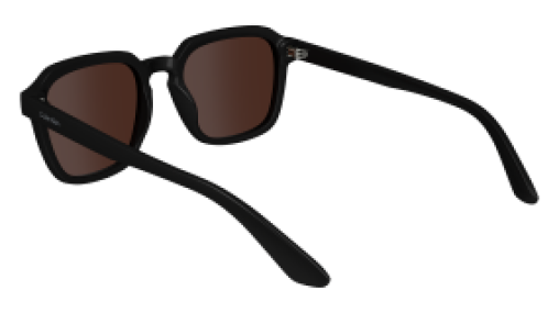 Calvin Klein CK23533S 001