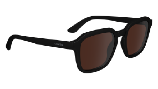 Calvin Klein CK23533S 001