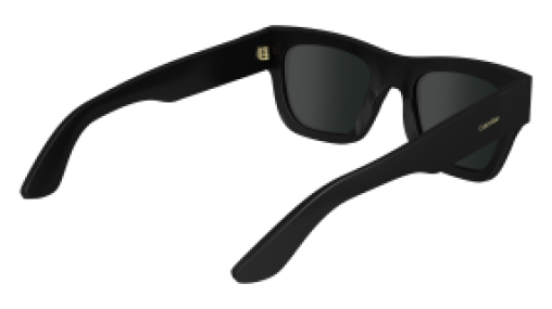 Calvin Klein CK24510S 001