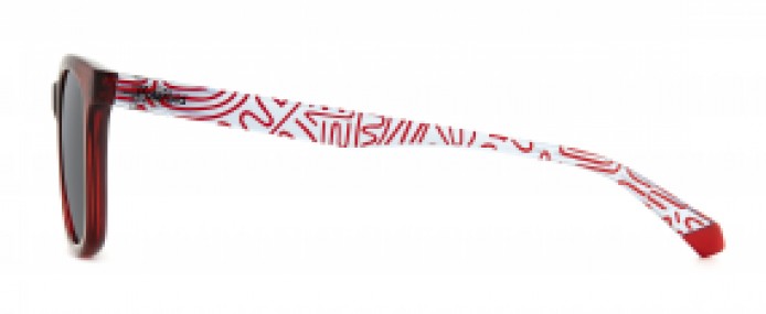 Polaroid PLD8060/S C9A M9