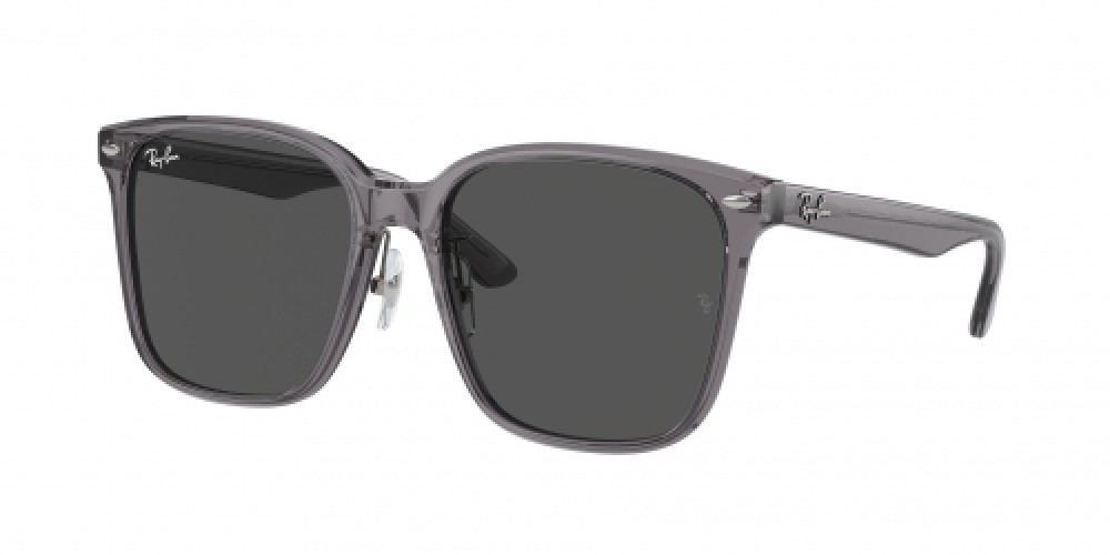 Ray-Ban RB2206D 139987