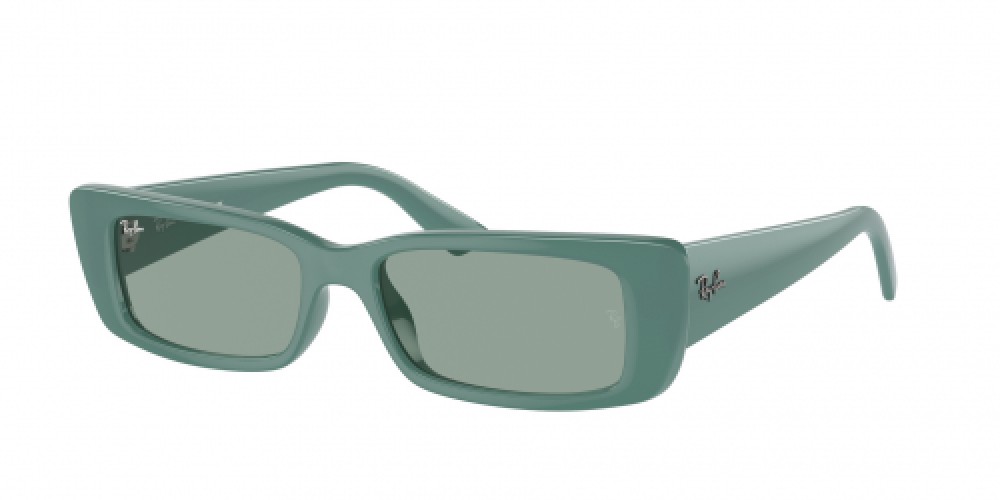 Ray-Ban RB4425 676282