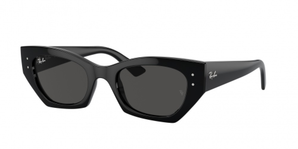 Ray-Ban RB4430 667787
