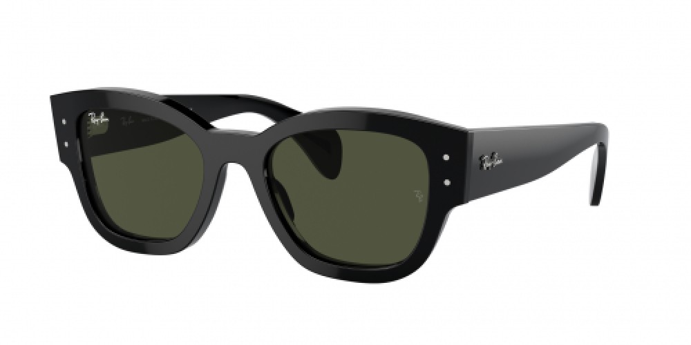Ray-Ban RB7681S 901/31