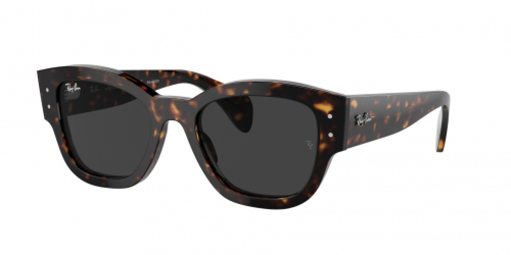 Ray-Ban RB7681S 902/48