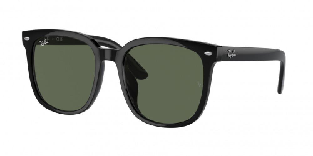 Ray-Ban RB4401D 601/71