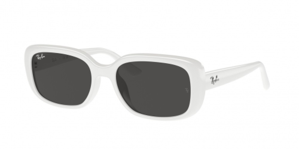 Ray-Ban RB4421D 677287
