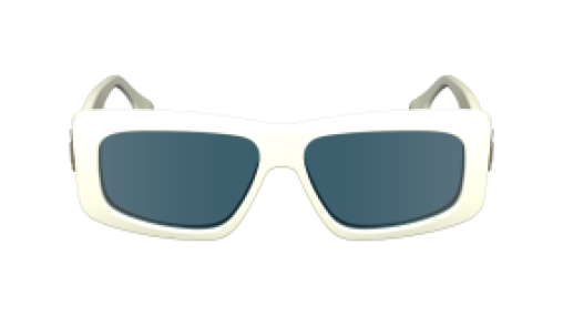 Victoria Beckham VB669S 101
