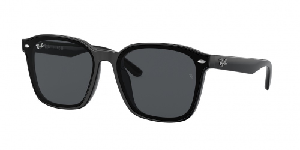 Ray-Ban RB4392D 601/87