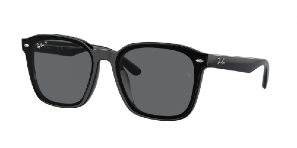 Ray-Ban RB4392D 601/81
