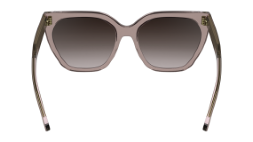 Calvin Klein CK24535S 272