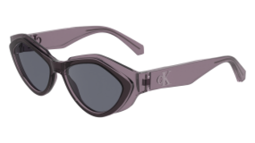 Calvin Klein Jeans CKJ24621S 508
