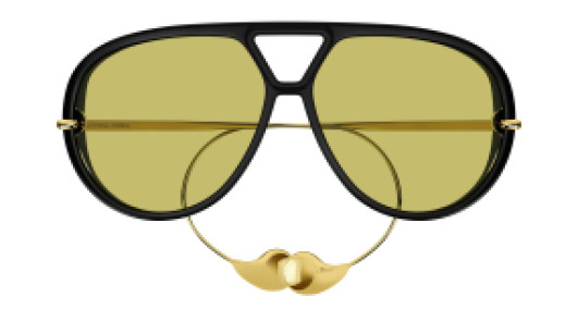 Bottega Veneta BTV1273S 003