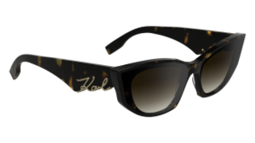 Karl Lagerfeld KL6162S 242