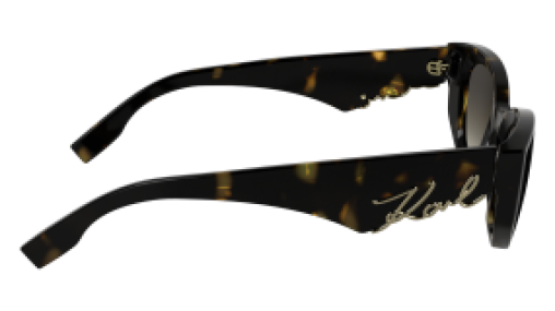 Karl Lagerfeld KL6162S 242
