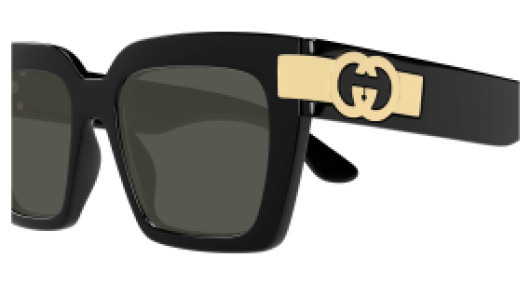Gucci GG1689S 001
