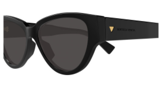 Bottega Veneta BTV1319S 001