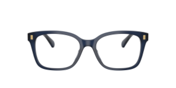 Ralph Lauren RA7174U 6059