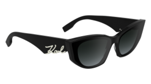 Karl Lagerfeld KL6162S 001