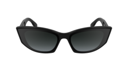 Karl Lagerfeld KL6162S 001