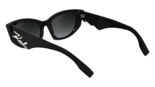 Karl Lagerfeld KL6162S 001